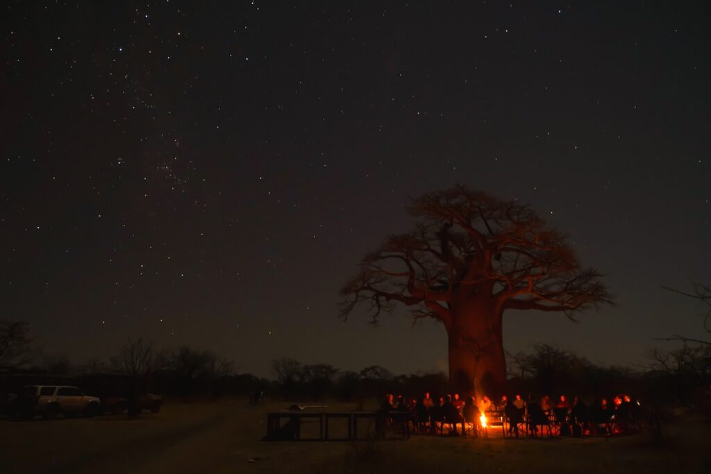Students gather under the stars and a baobob tree